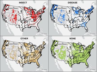 Insect and Disease Disturbances Correlate With Reduced Carbon Sequestration in Forests of the Contiguous United States